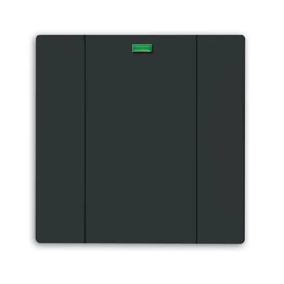 Busch-Jaeger 6125-81-101