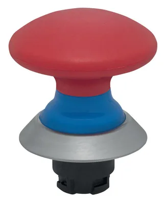 Schmersal NDP50BL/RT