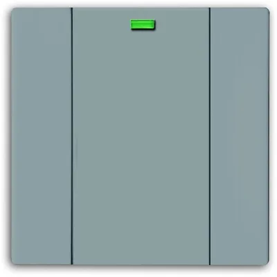 Busch-Jaeger 6125-89-101
