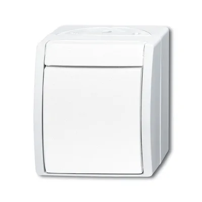 Busch-Jaeger 2621 W-54
