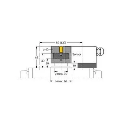 Turck BTS-DSU35-Z01