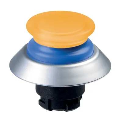 Schmersal NDLP30BL/GB