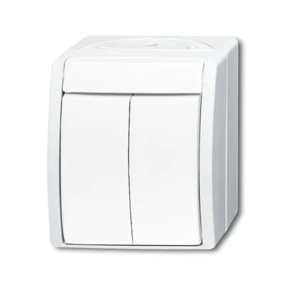 Busch-Jaeger 2601/5 W-54