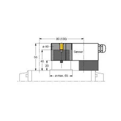 Turck BTS-DSU35-Z02