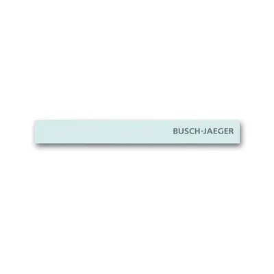 Busch-Jaeger 6349-810-101
