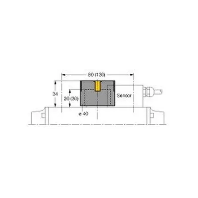 Turck BTS-DSU35-EB1
