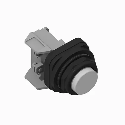 Allen Bradley 800H-BR5D2 30mm Momentary Push Button 800H PB