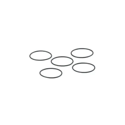 IFM O-RG 16,40x1,00/FKM 5 PIECE O-Ring