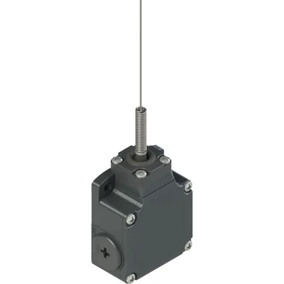 Pizzato FL 521-M2 Position switch, coil spring with cat's whisker