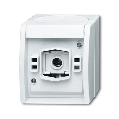 Busch-Jaeger 2661 W-54