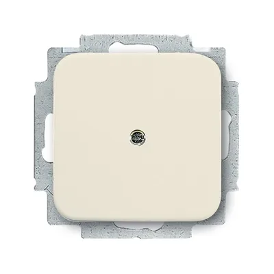 Busch-Jaeger 2538-212