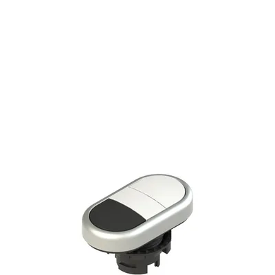 Pizzato E2 1PDRL90221 Double lower flush pushbutton, without marking