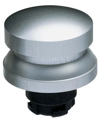 Schmersal RDP40WS