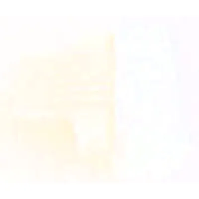 Eaton Electric RA-C1-END1