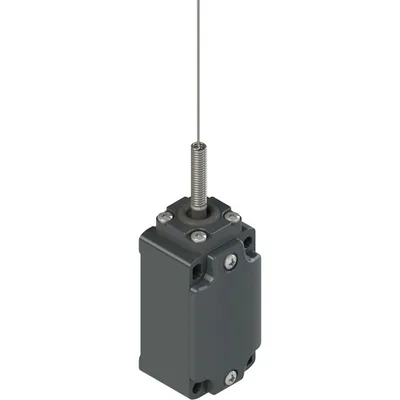 Pizzato FD 521-M2 Position switch, coil spring with cat's whisker