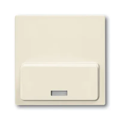Busch-Jaeger 8254-82