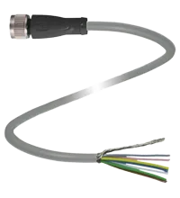 Pepperl+Fuchs V19-G-5M-PVC-TP Female cordset, M12, 8-pin, shielded, PVC cable