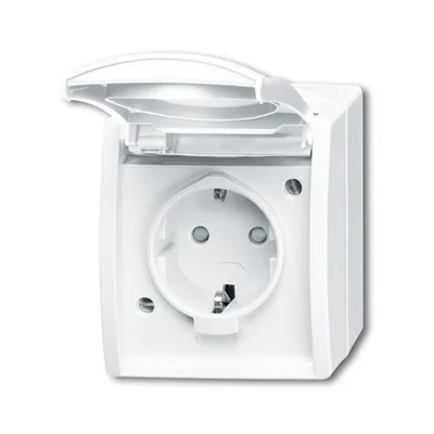 Busch-Jaeger 20 EBW-54