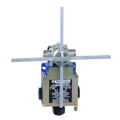 Schneider Electric XCKMR54D1H29EX