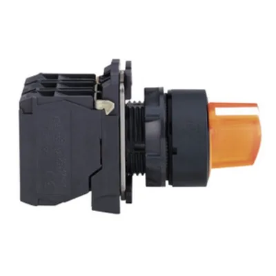 Schneider Electric XB5AK125B5