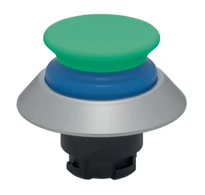 Schmersal NDTP30BL/GN