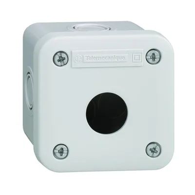 Schneider Electric XALE1