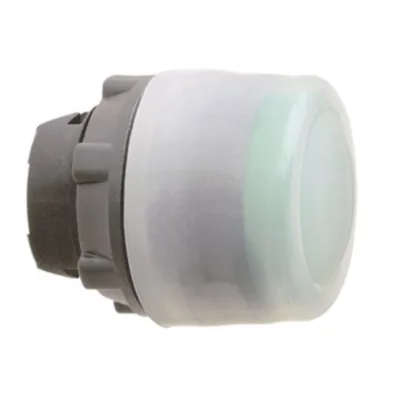Schneider Electric ZB5AP38