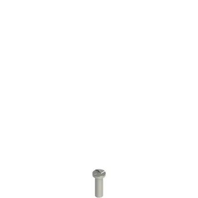 Pizzato VF VAM5X15BW-X Stainless steel security screws