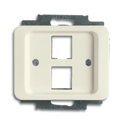 Busch-Jaeger 2561-02-22G