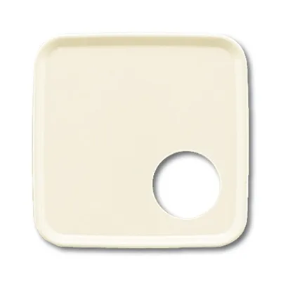 Busch-Jaeger 2548-212-52 A