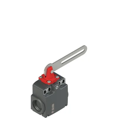 Pizzato FX 5C4-M2 Safety switch with slotted hole lever