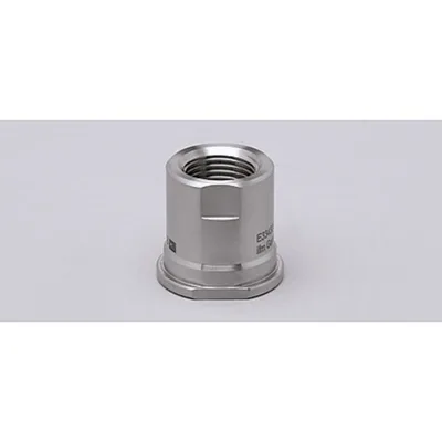 Ifm Electronic ADAPT G1/2-SMS DN25