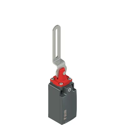 Pizzato FM 5C2-M2 Safety switch with slotted hole lever
