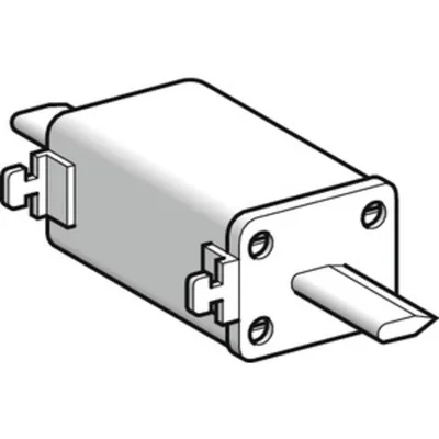 Schneider Electric DF2FGN63