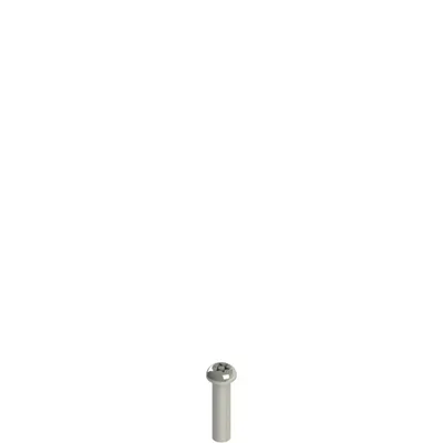 Pizzato VF VAM5X20BX-X Stainless steel security screws