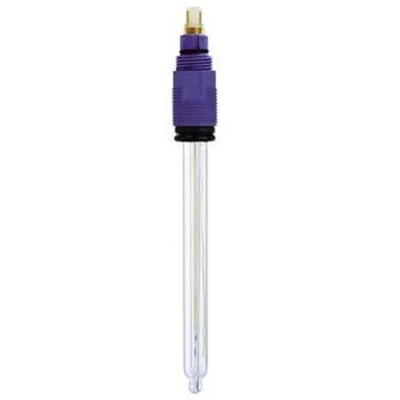 Endress + Hauser CPS21-1EA2GSA