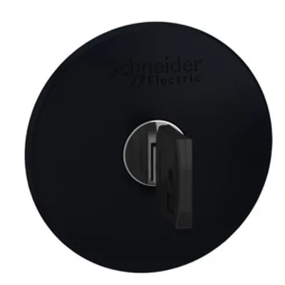 Schneider Electric ZB4BS22