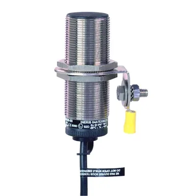 Schneider Electric XS630B1PAL10EX