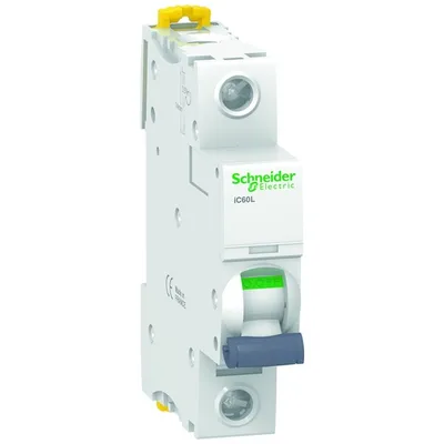 Schneider Electric A9F95172