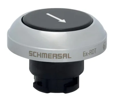 Schmersal EX-RDTSW/101D