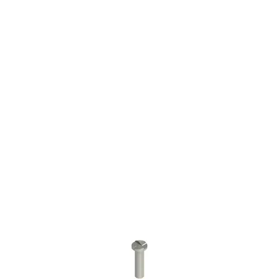 Pizzato VF VAM4X15BW-X Stainless steel security screws
