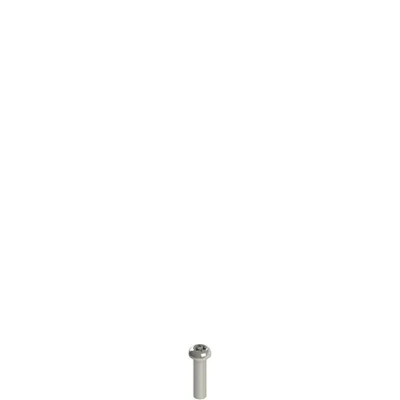Pizzato VF VAM4X15BX-X Stainless steel security screws