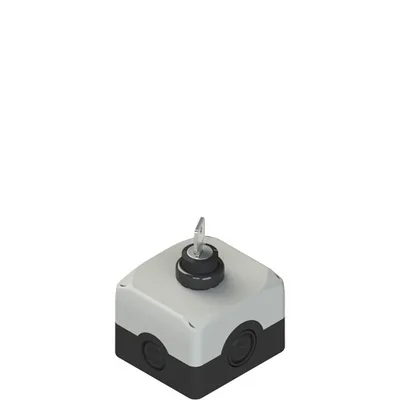 Pizzato ES AC31020 Complete unit with enclosure, Key selector and contacts