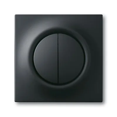 Busch-Jaeger 6545-775