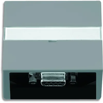 Busch-Jaeger 6123-89