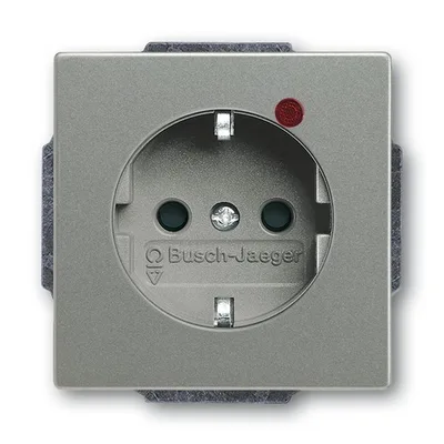 Busch-Jaeger 2310EUGL/VA-803-11