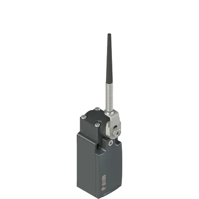 Pizzato FM 534-M2 Position switch, coiled spring lever with plastic point