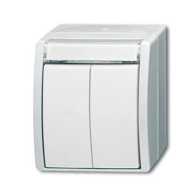 Busch-Jaeger 2621 WN-54-205-101
