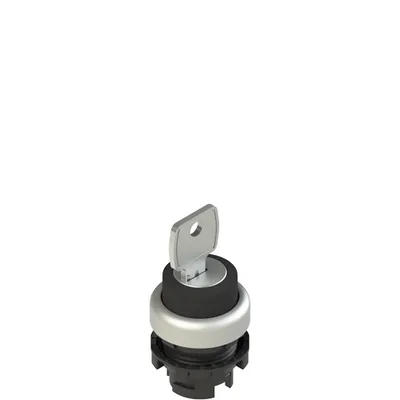 Pizzato E2 1SC2DVA19AA Key selector, 2 positions black without marking