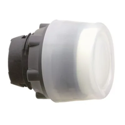 Schneider Electric ZB5AP18